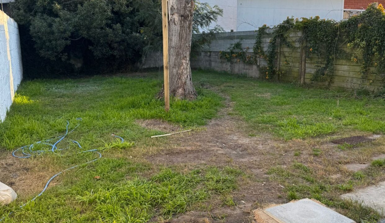IMG-20250810-WA0029